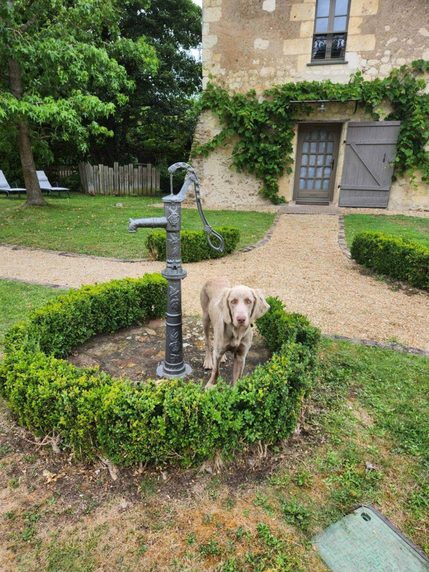 Villa La Tour Du Grand Boust à Longué Extérieur photo